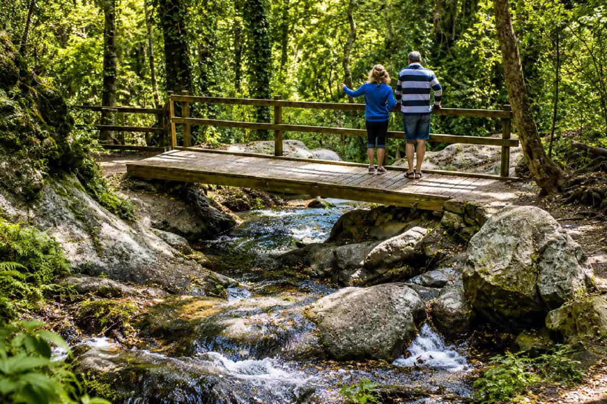 Bunya Mountains National Park