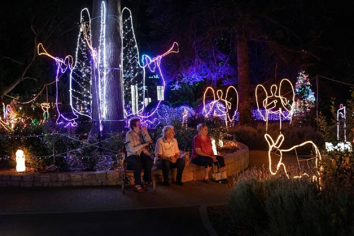 Toowoomba's Christmas Wonderland