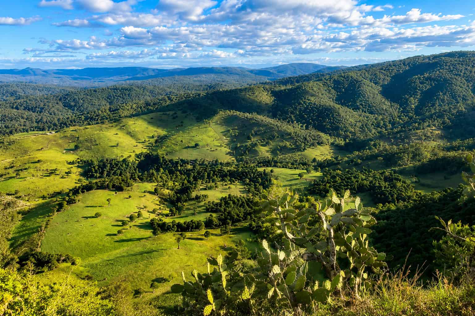 Table Top Mountain